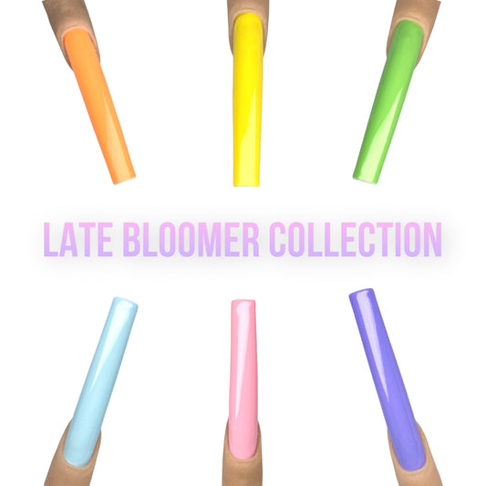LATE BLOOMER COLLECTION